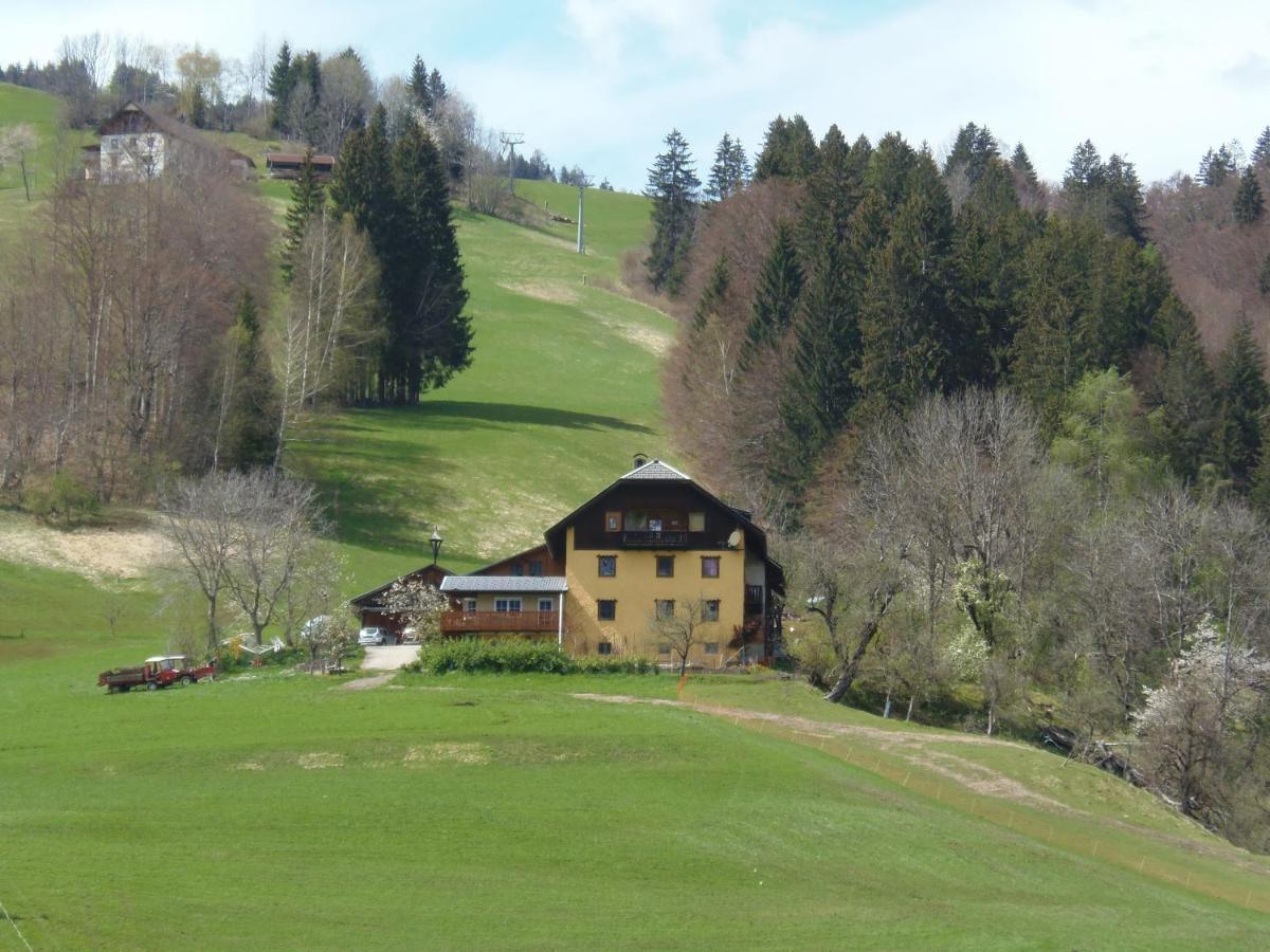 Villa Casa Safra Kotschach-Mauthen Exterior foto